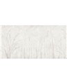 IVORY-AP011-1