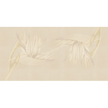 CREAZIONE-AP025-2