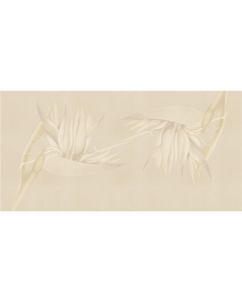 CREAZIONE-AP025-2