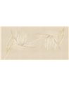 CREAZIONE-AP025-2