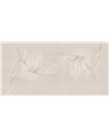 CREAZIONE-AP025-3