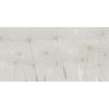 DANDELION-SS020-1