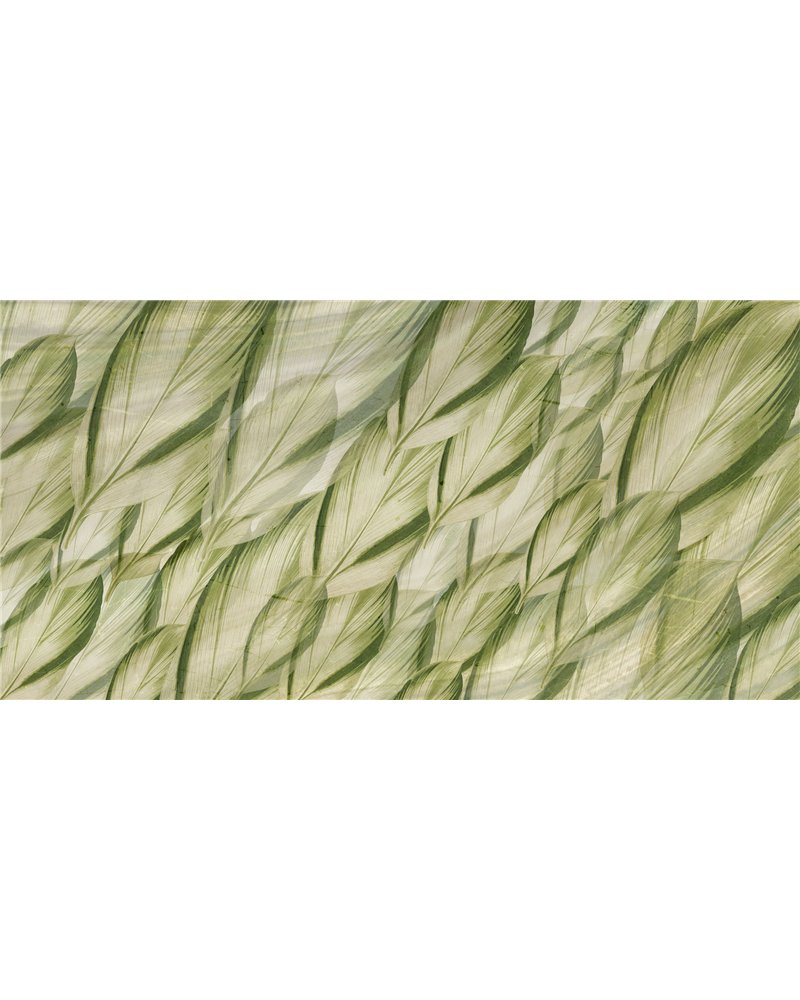 DRACAENA-SM006-1