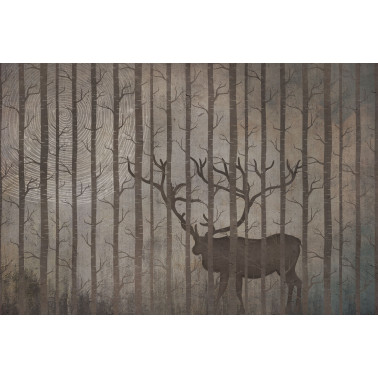ELAPHUS-VE023-1