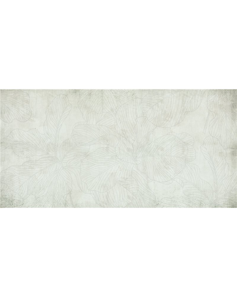 FICUS-SM011-2