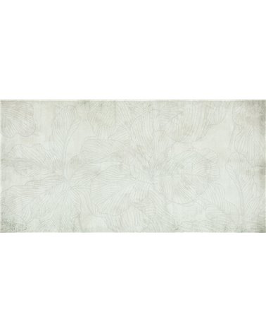 FICUS-SM011-2