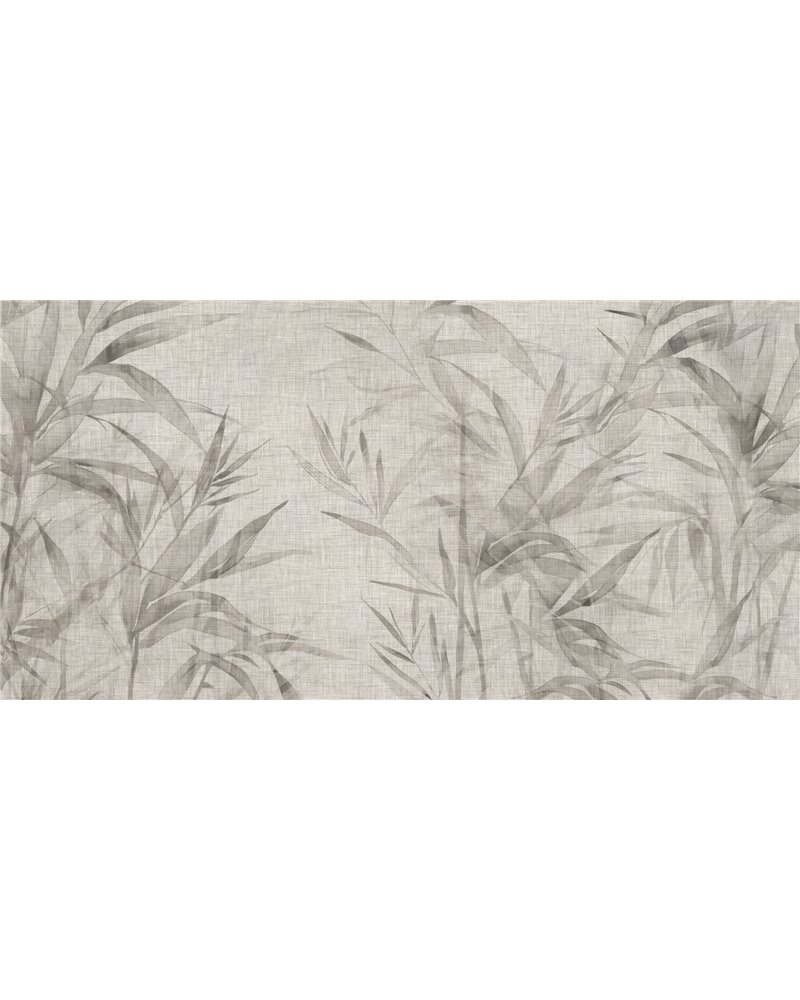 GINSENG-AP080-1