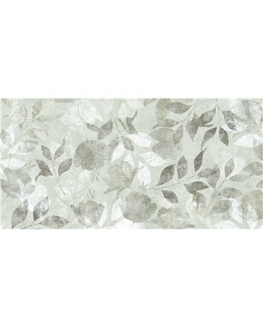 HOJA-SR001-2