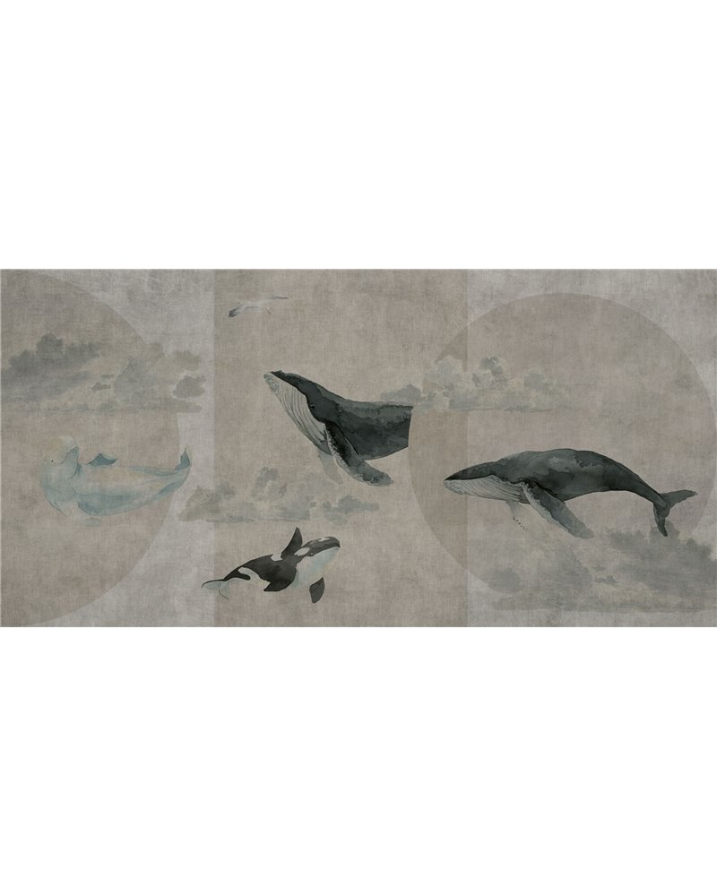 WHALES-SS013-1