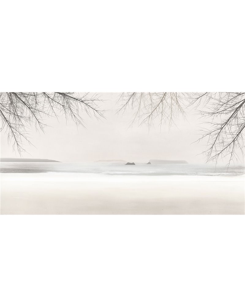 RAMUS-VE101-1