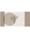 PURE-SS016-1