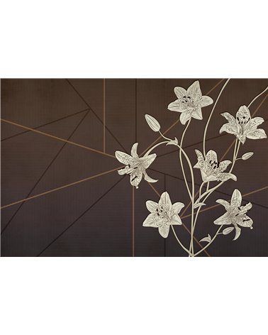 ODI-ET-AMO-VE079-1