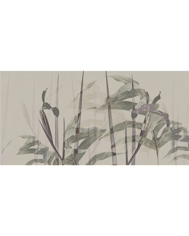 NARCISO-AP086-1