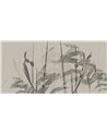 NARCISO-AP086-1