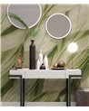 DRACAENA-SM006-1