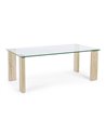 MESA DE CENTRO NOVA ARLEY NATURE 120X60