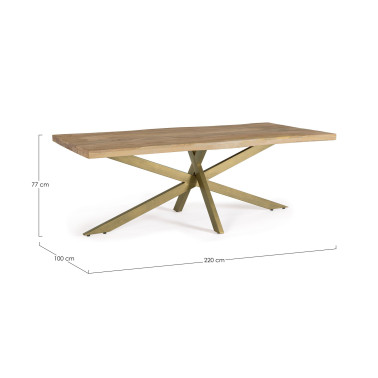 JAIDEV TABLE 220X100