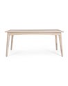 SAHANA TABLE 173X90