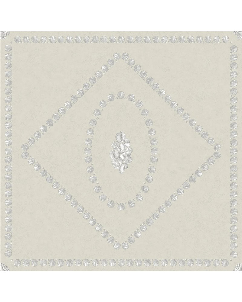 Conchiglie Pearl On Parchment 123_5024 Conchiglie Pearl On Parchment 123_5024