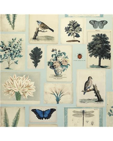 Flora and Fauna Cloud Blue PJD6001-02