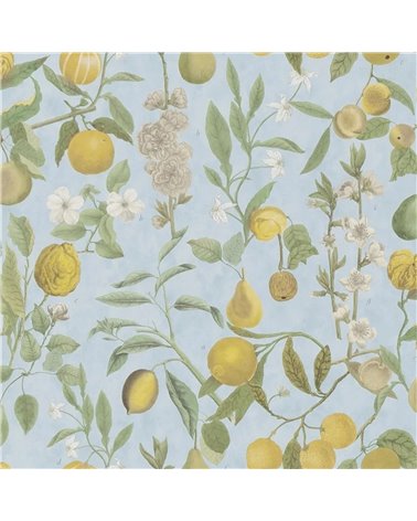 Orchard Fruits Sky Blue PJD6018-02