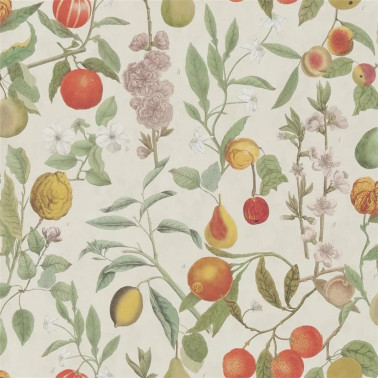 Orchard Fruits Parchment PJD6018-01