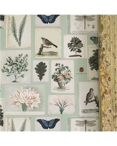 Flora and Fauna Cloud Blue PJD6001-02