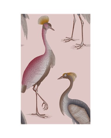 Garzas Rosa GDW-5773-006