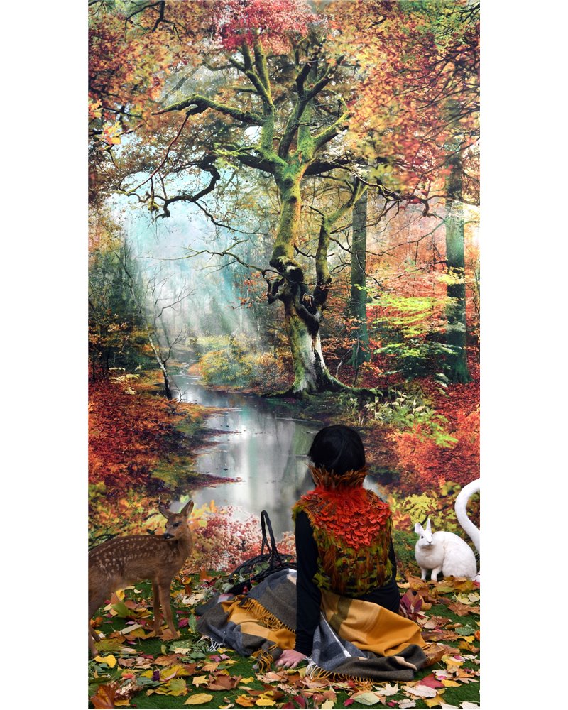 Sous Bois Foret 3337-01