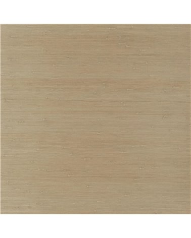 Seagrass Weave Flax PRL5087-01
