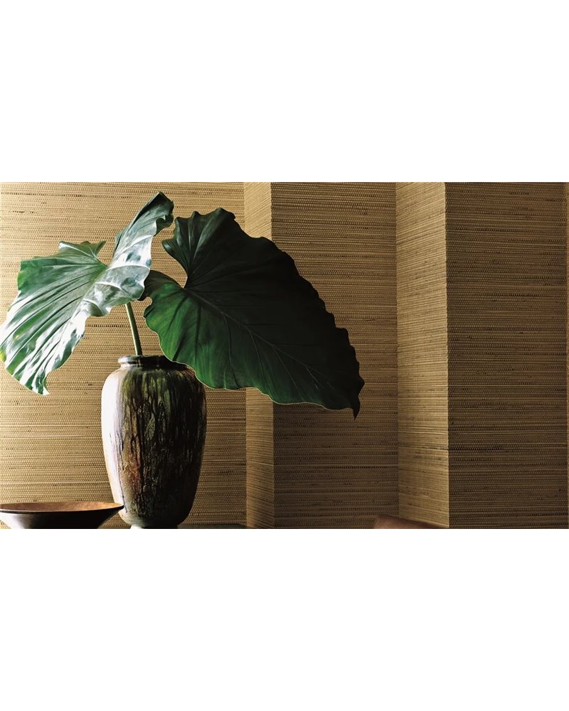 Koa Chevron Black PRL5081-03