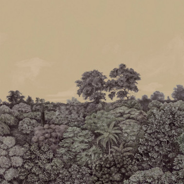 Canopy 1 MHP11