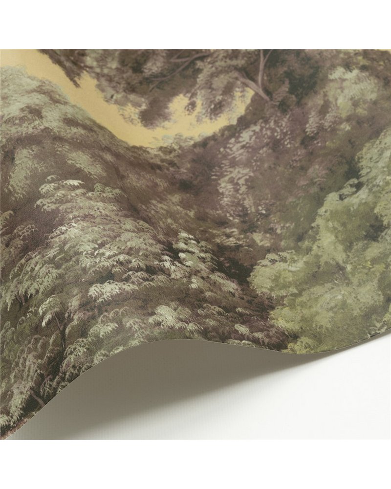 Canopy 1 MHP11