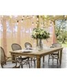SILLA C-BR C-COJ EDELINA NAT