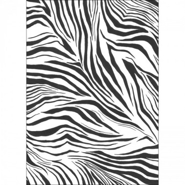 Zebra Blanc Noir 104960903