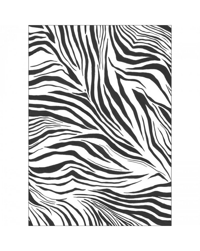 Zebra Blanc Noir S 104960905