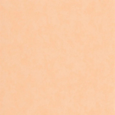 Vallauris Abricot 89853232