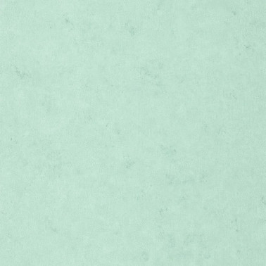 Uni Metallise Irise Vert Givre Irise 105257150