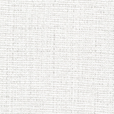 BENGAL SILK BE21-02.jpg