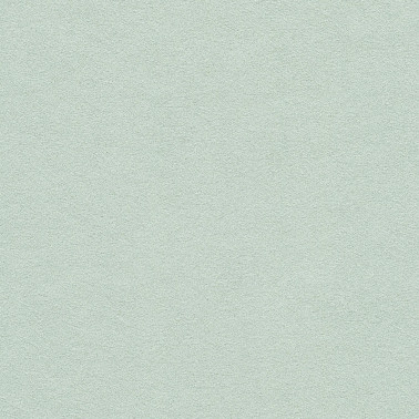 ENIGMA SPRING-MINT E922-02.jpg