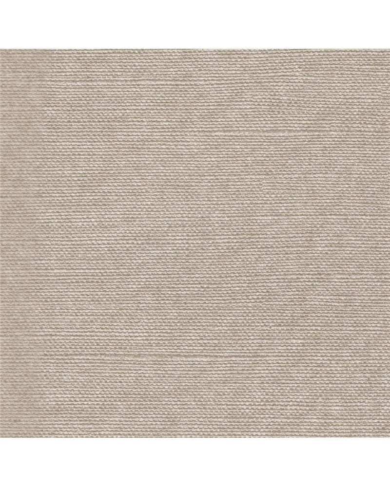 LINO PLEBEIAN LN21-37.jpg LINO PLEBEIAN LN21-37.jpg