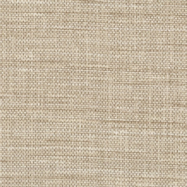 RAMIE TWINE 8221-18 .jpg