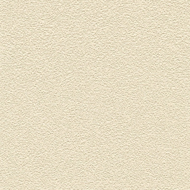 DESERT SAND 5521-08.jpg