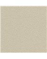 DESERT SAND 5521-21.jpg