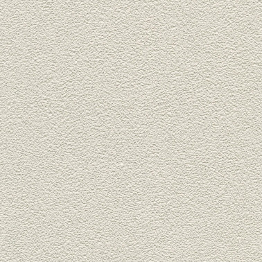 DESERT SAND 5521-93.jpg