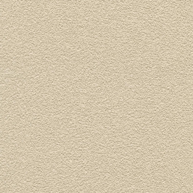 DESERT SAND 5621-30.jpg