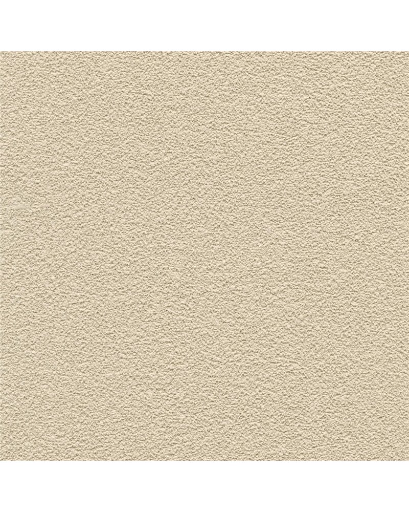 DESERT SAND 5621-30.jpg DESERT SAND 5621-30.jpg