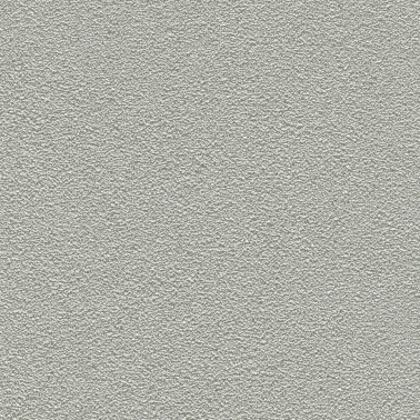 DESERT SAND 5821-32.jpg