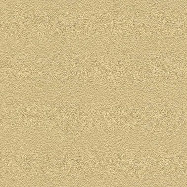 DESERT SAND 5821-33.jpg