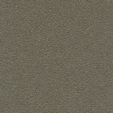 DESERT SAND 5821-38.jpg